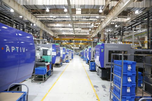 嘉定智能工廠再升級(jí) 六萬(wàn)平米藍(lán)圖下的企業(yè)咨詢(xún)服務(wù)新篇章